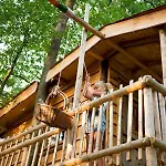 Recreatiepark D'n Mastendol Luxe Boomhutten